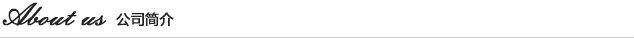 公司簡介